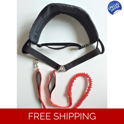 Dog Walking Belt and Bungee Lead Set